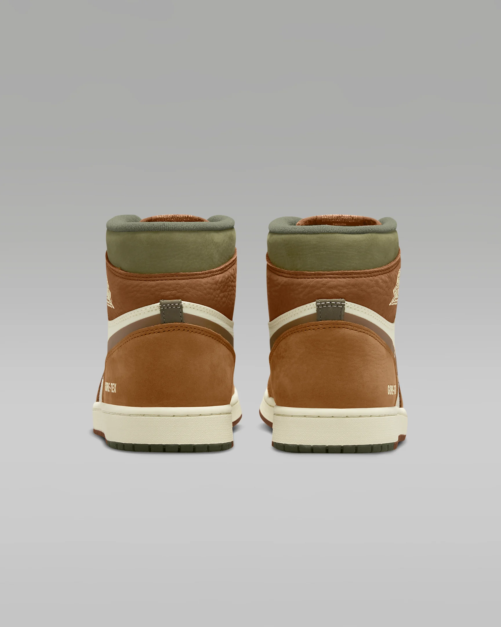 Air Jordan 1 Element #